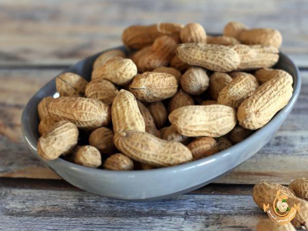 Peanut Effects on Your Body