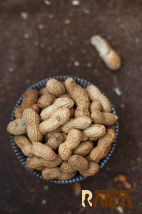 Peanuts and Being an Excellent Source of Biotin