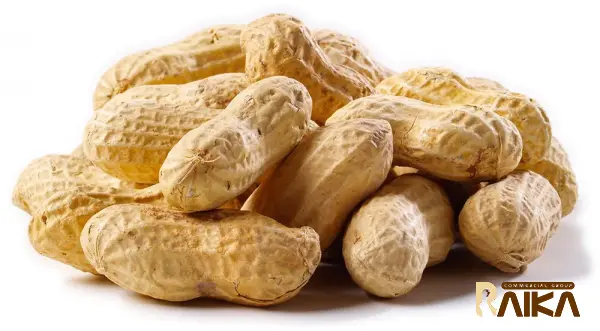 Peanuts Are Diabetic Friendly Nuts