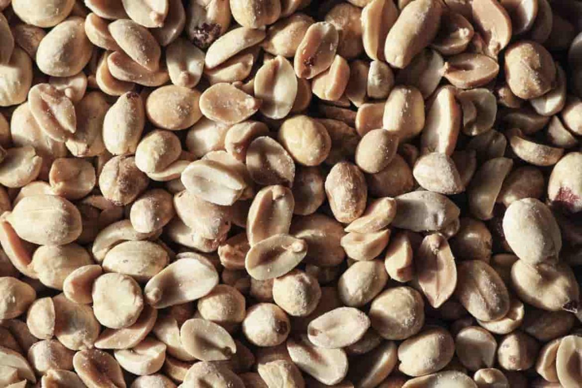 Standard blanched peanuts manufacturers