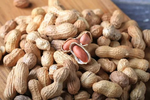 Organic salted peanuts in bulk