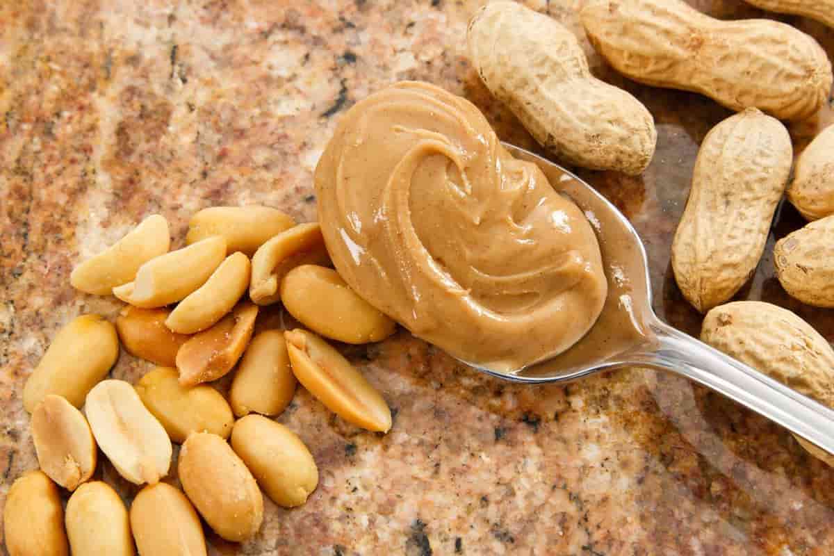 The price of peanut butter + purchase and sale of peanut butter wholesale 