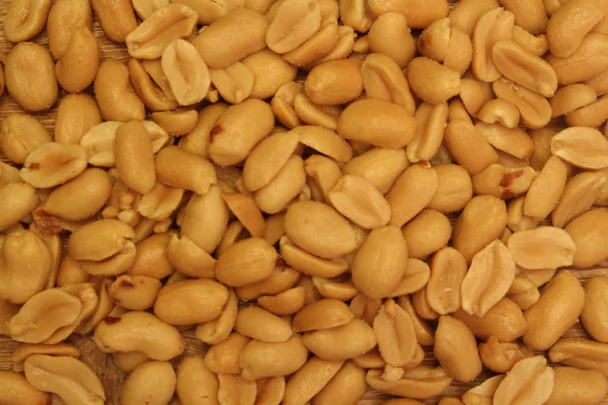  Salted Peanuts Price in Delhi 