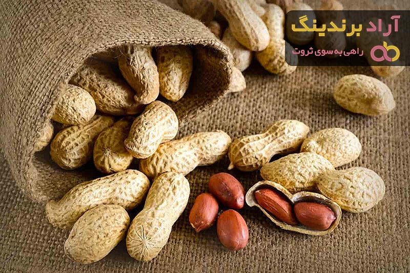  Buy Beneficial Raw Groundnut + Great Price 