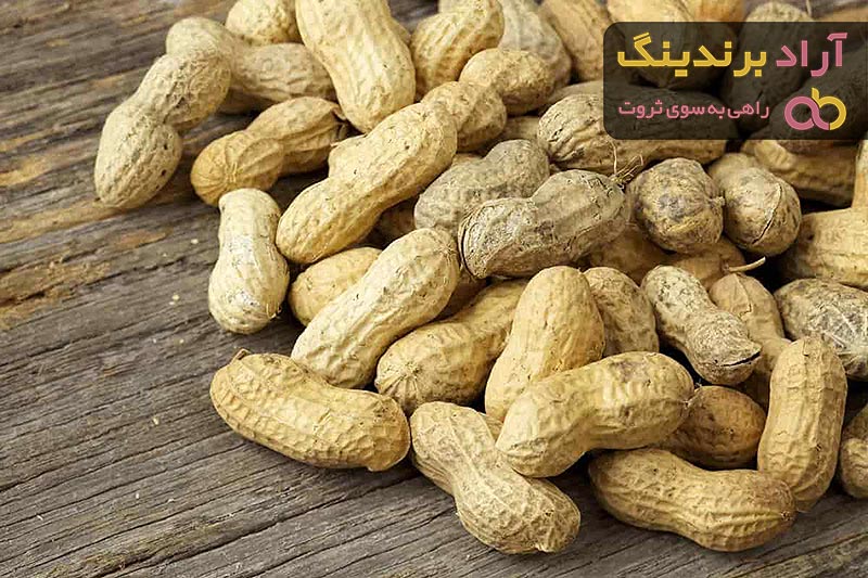  Allergic Unsalted Peanuts Purchase Price + Quality Testing 