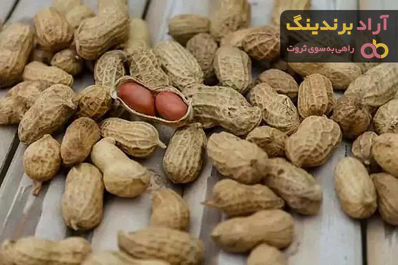  Nutritional Roasted Peanuts | The Purchase Price, Usage, Uses And Properties 