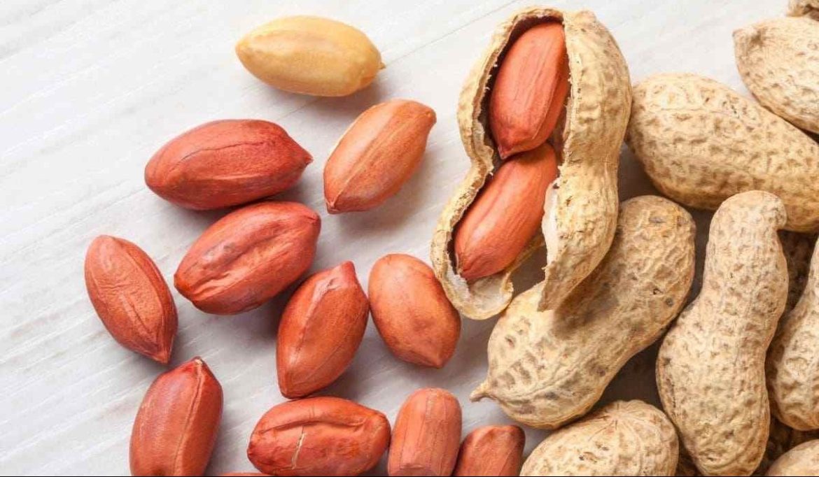 Buy all kinds of Indian peanuts at the best price