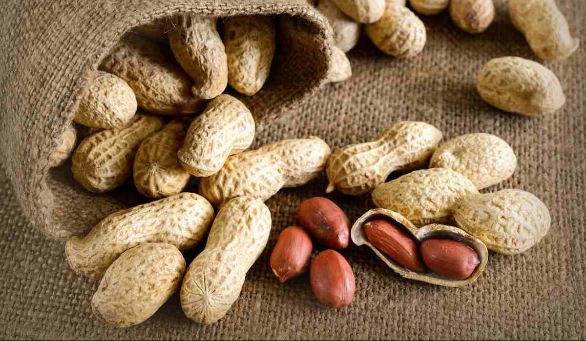  Buy all kinds of Indian peanuts at the best price 