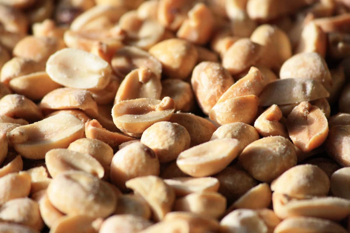  Buy the Latest Types of Unshelled Peanuts at a Reasonable Price 