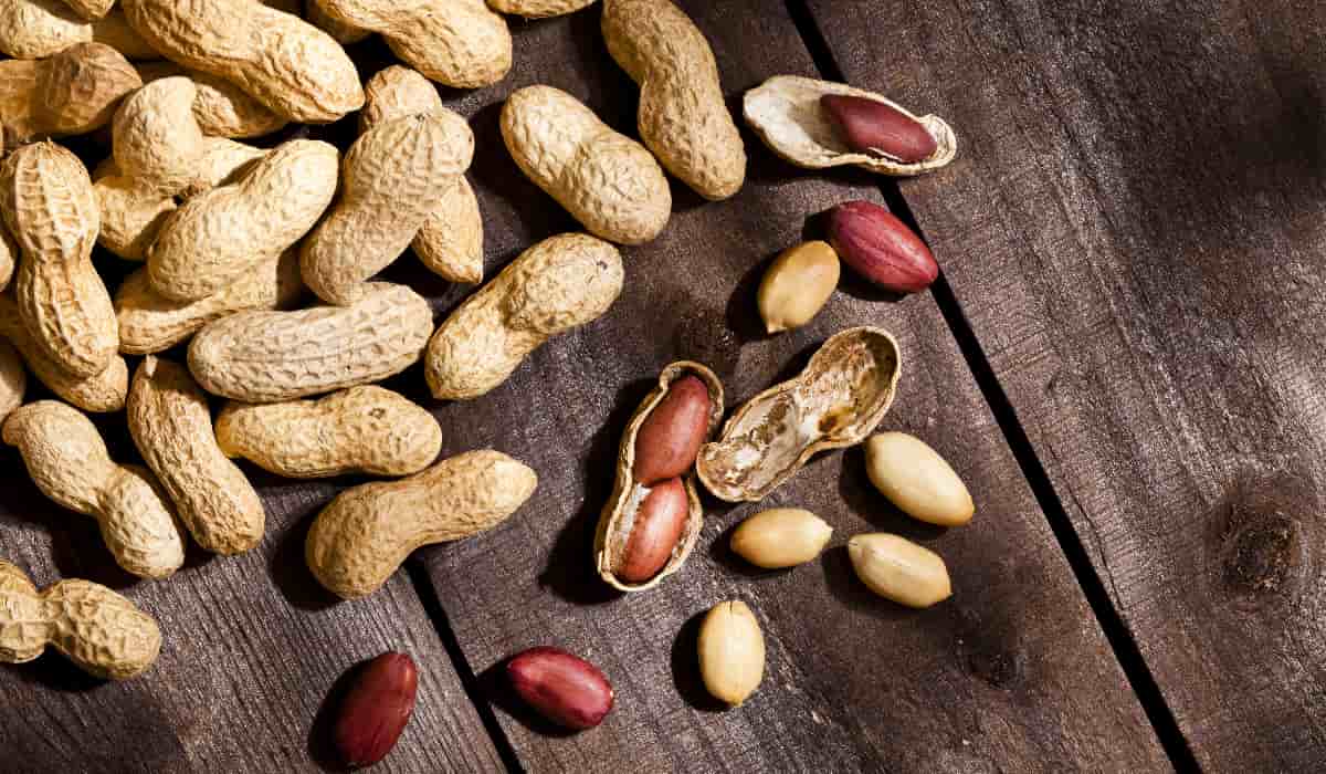  Buy open boiled peanuts + Great Price With Guaranteed Quality 