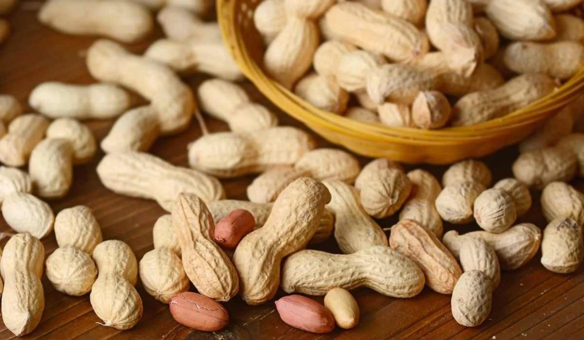 Buy the latest types of Mentioned Peanuts at a reasonable price