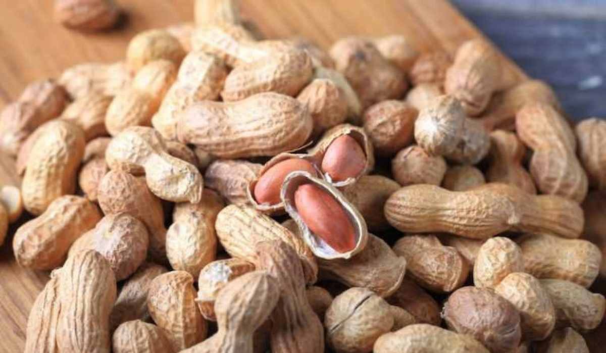  Buy the latest types of Mentioned Peanuts at a reasonable price 