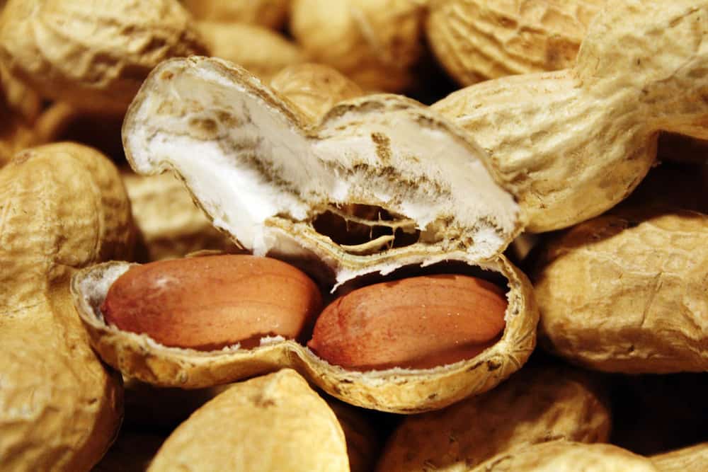  Peanut import and Distribution Companies 