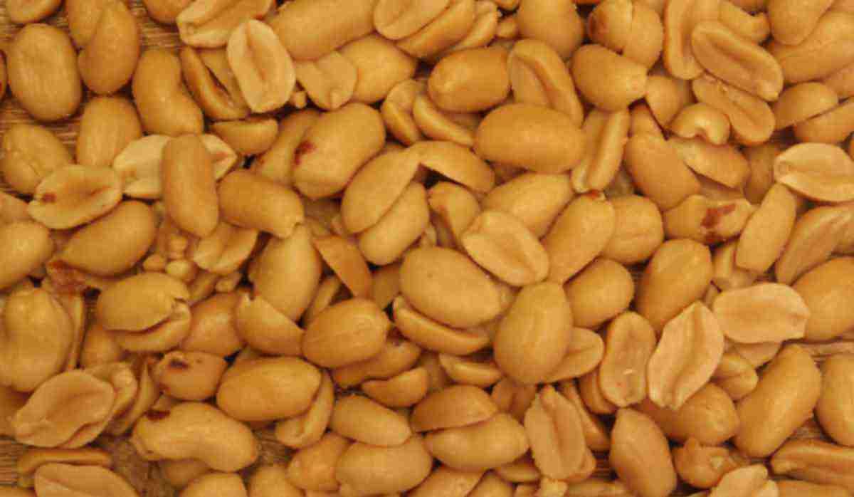  Dried roasted peanuts purchase price + picture 