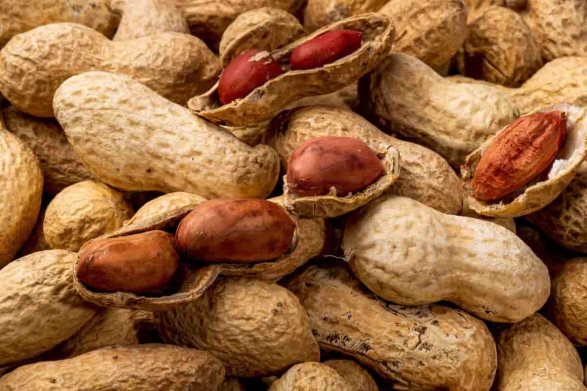 Purchase red skin peanuts 1kg at an affordable price