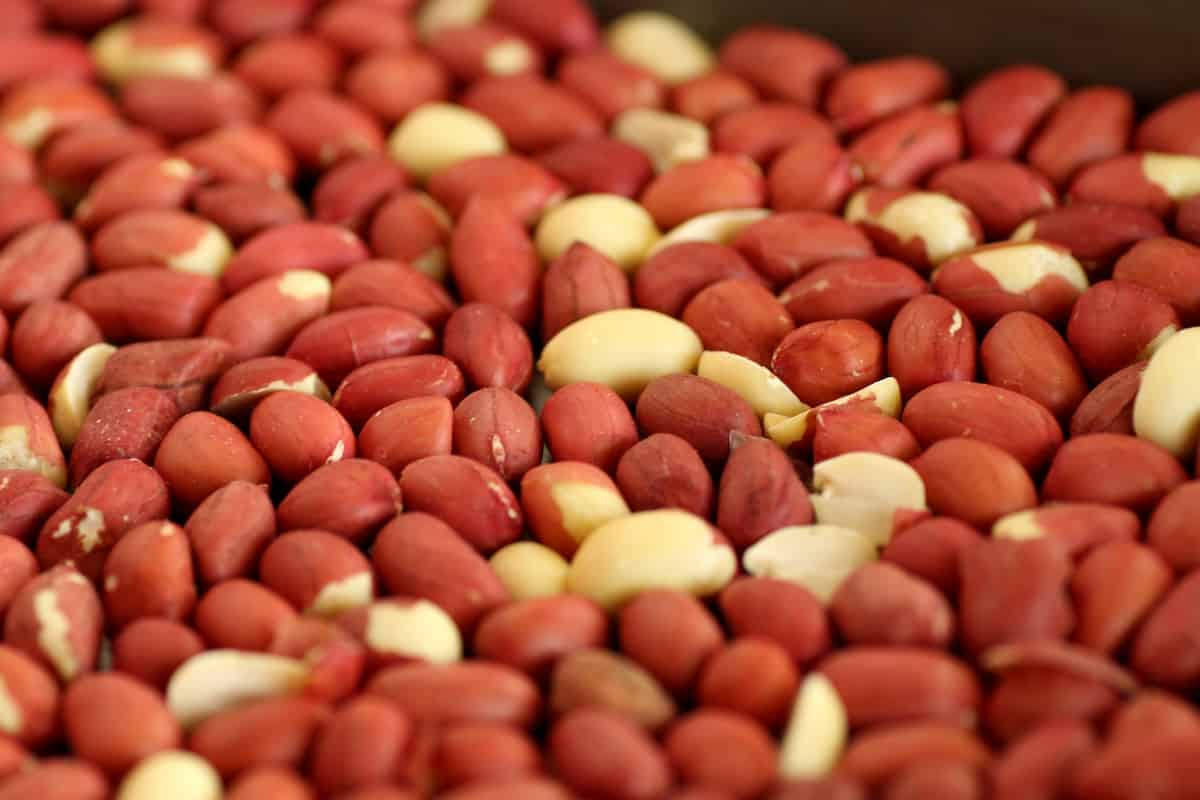  Purchase red skin peanuts 1kg at an affordable price 