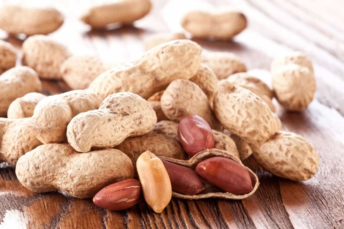 Buy Roasted Peanuts For Weight Loss + Great Price 