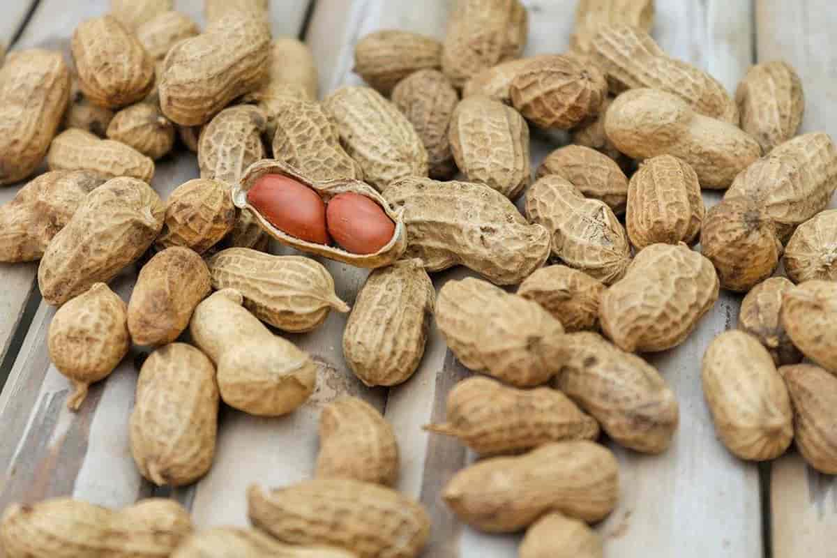  Red skin peanuts for sale at a reasonable price 