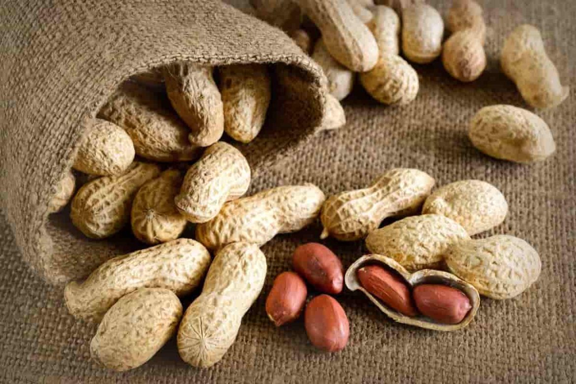 Peanuts allergy rates over time and the economic impacts on society