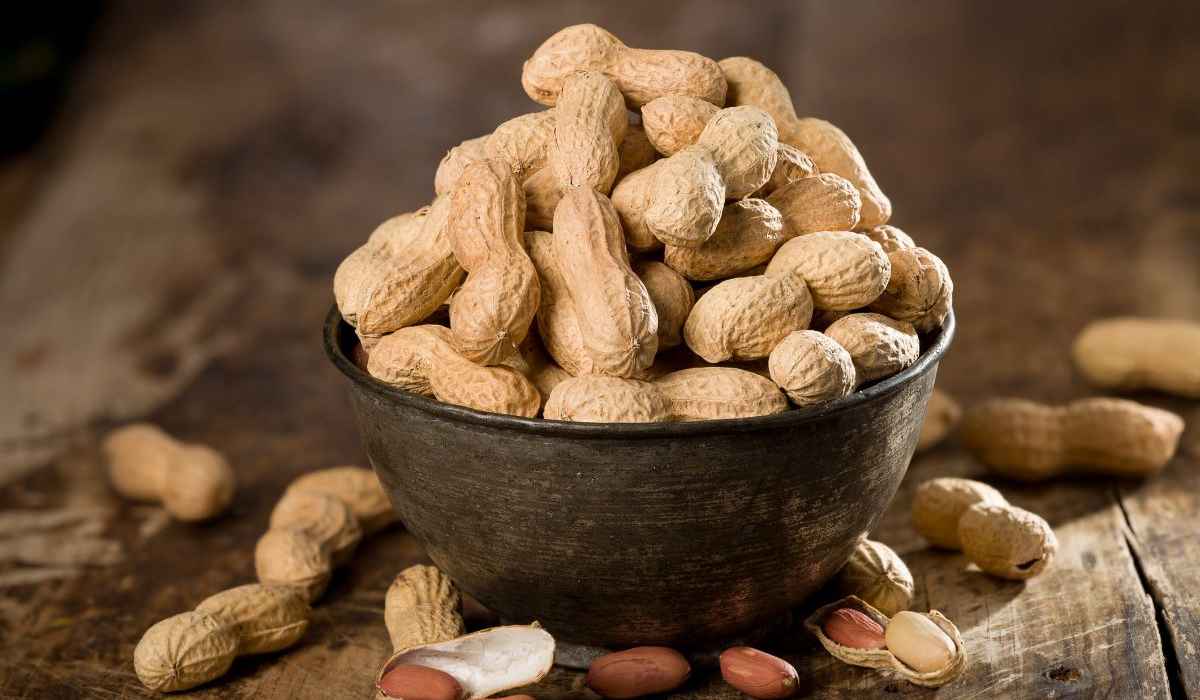  Buy Peanuts benefits for hair+ great price 