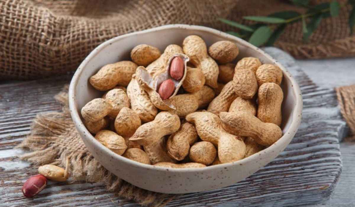  The Price of bulk raw peanut + Wholesale Production Distribution of The Factory 