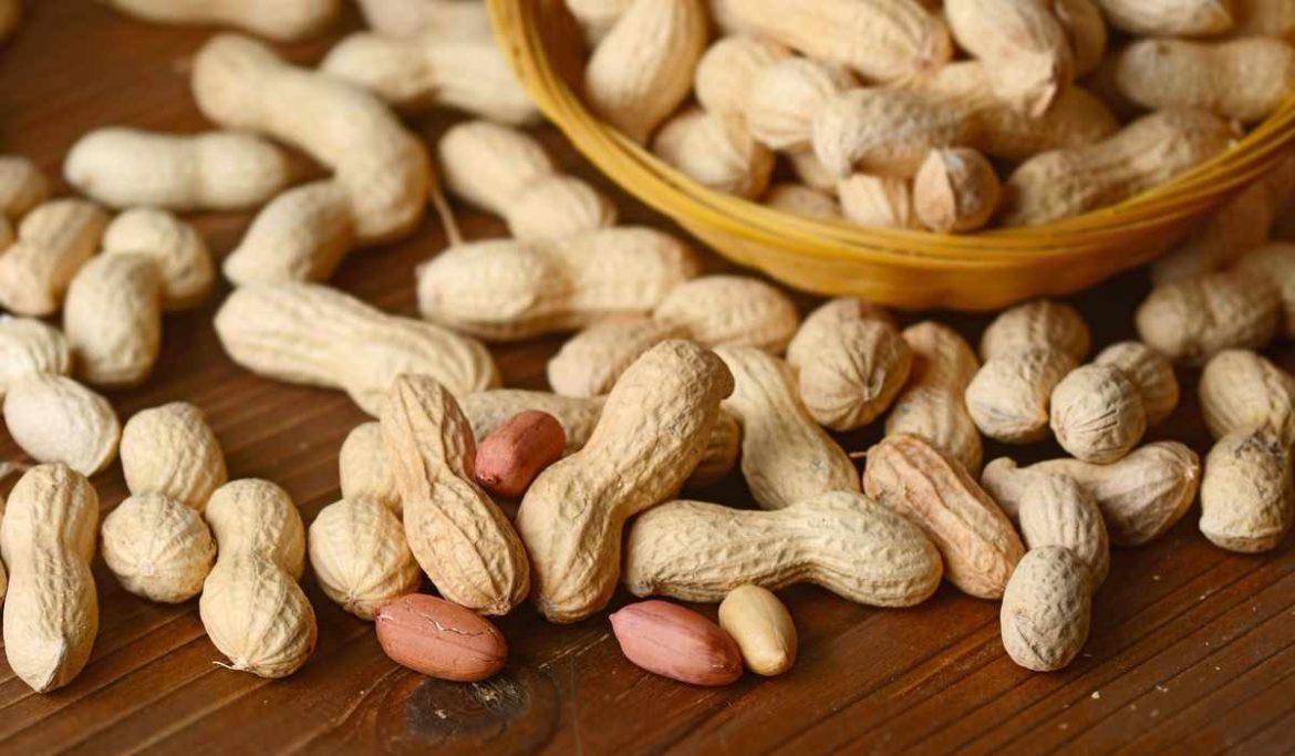 Peanut Different Types and Uses there are 4 types