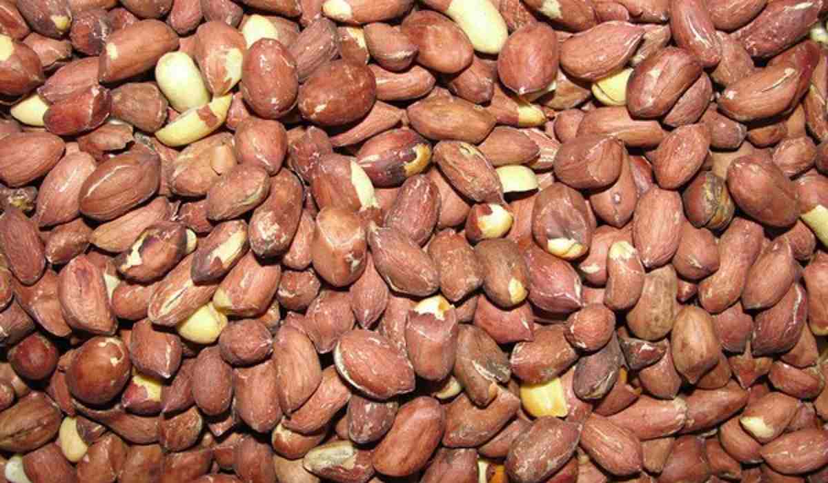  Peanut Different Types and Uses there are 4 types 