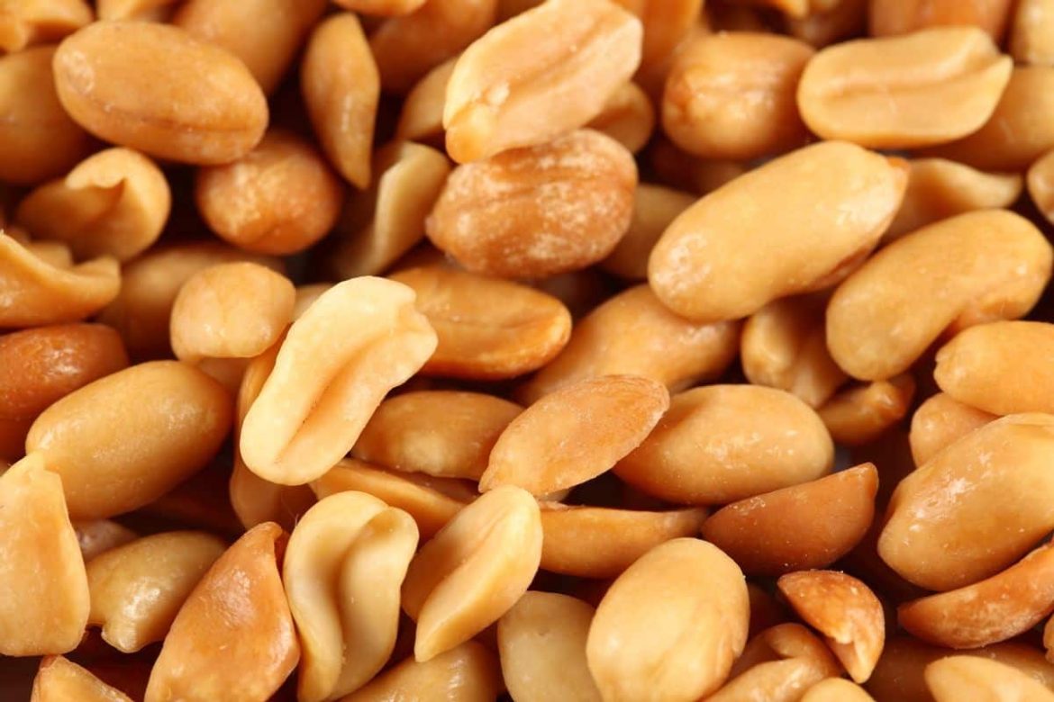 roasted peanuts wholesale price | buy at a cheap price