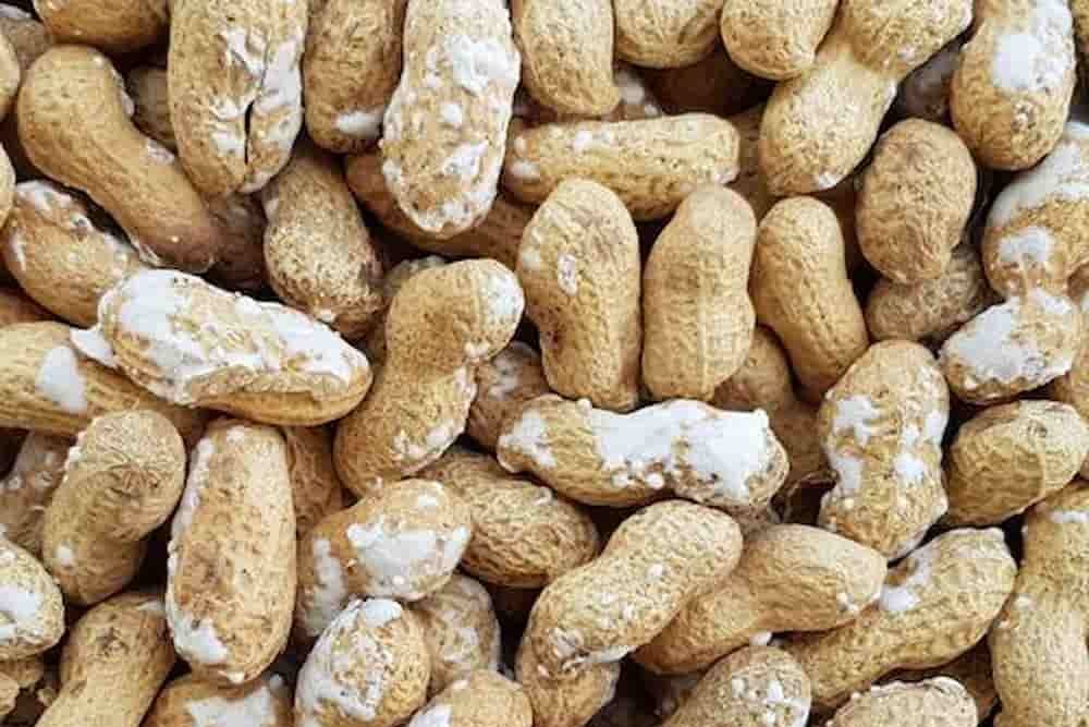  Purchase And Day Price of Salted Roasted Peanuts 