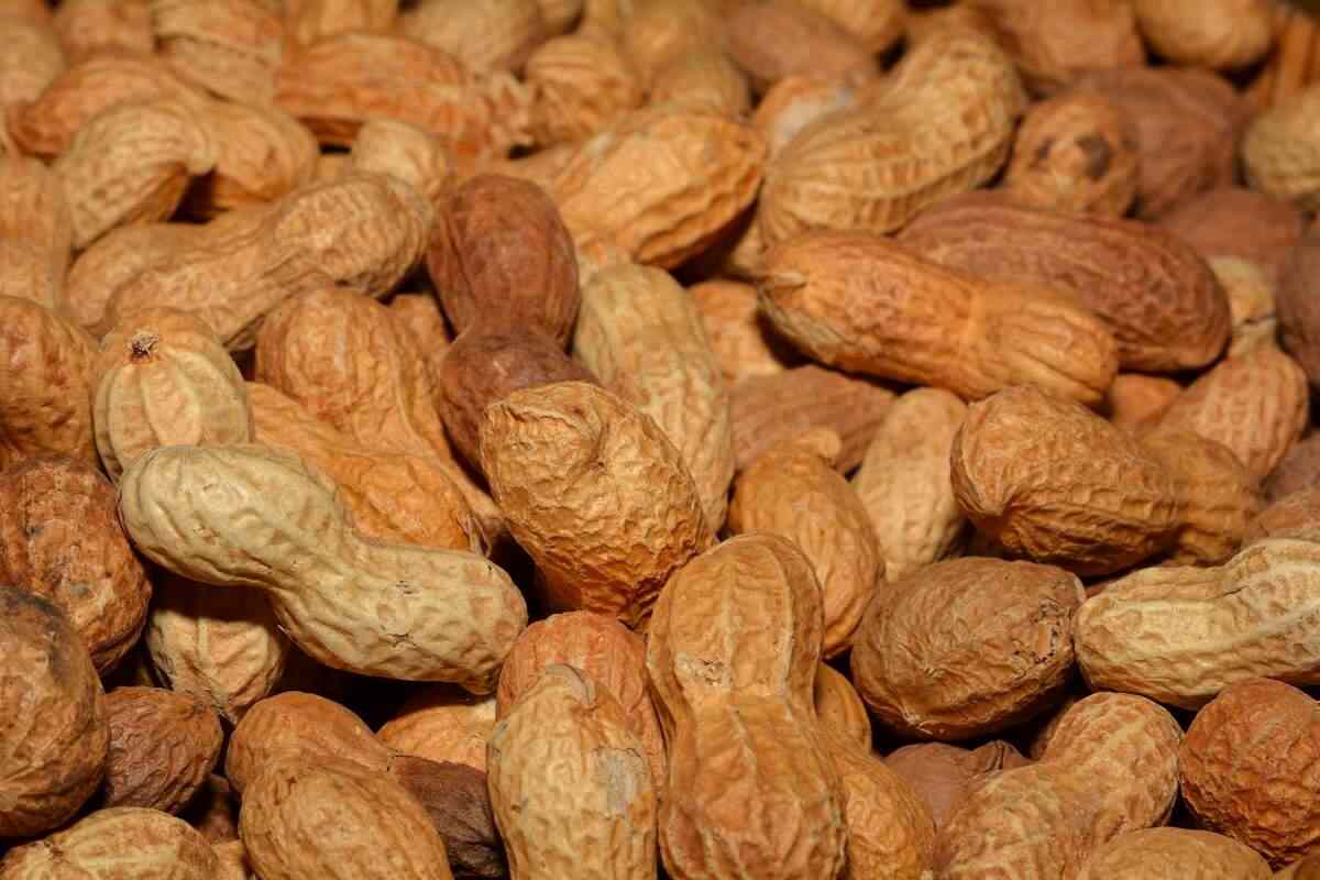  Buy three varieties of peanuts + great price 