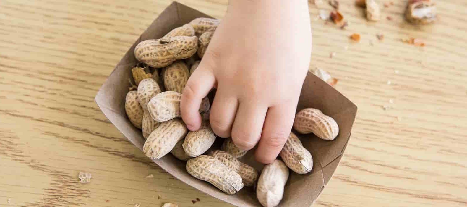  Buy The Latest Types of Peanut Allergy At a Reasonable Price 