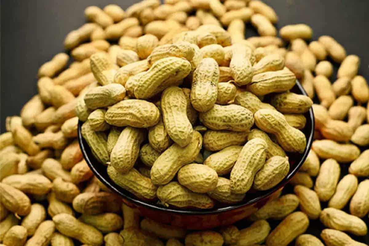  Buy the best types of peanuts in India at a cheap price 
