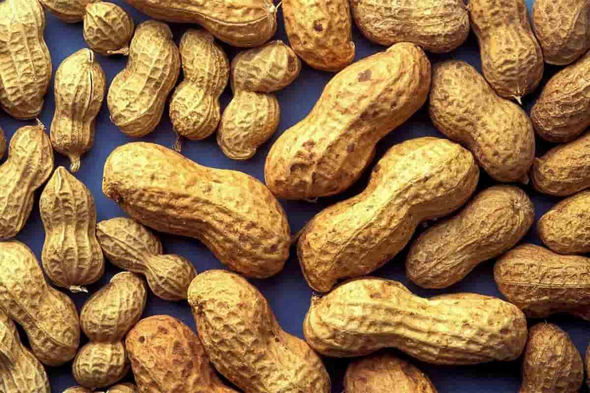  Buy the best types of peanuts in India at a cheap price 