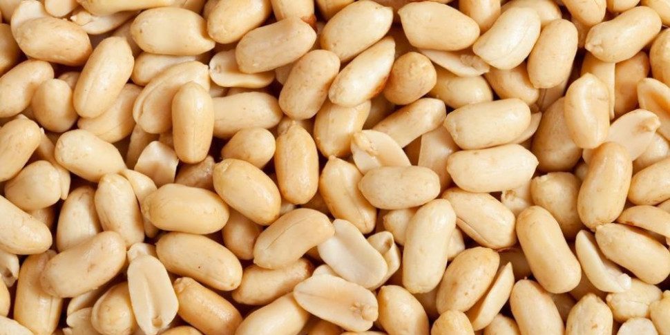  dispensable peanut butter price list in November 2023 