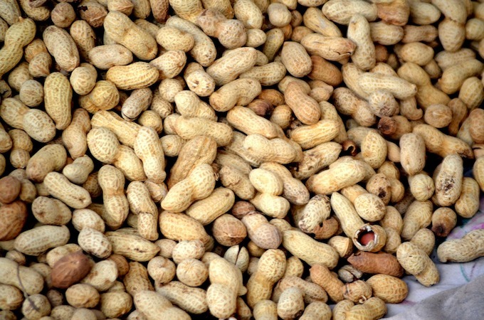  buy raw peanuts 2023 price list 