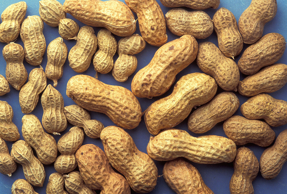  which is the best healing properties of peanuts? + complete comparison | great price 