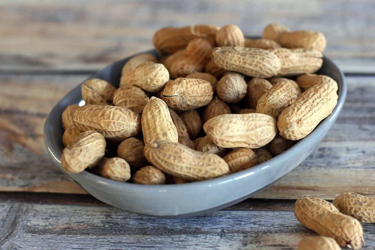  Peanut Gujarat (Fabaceae) different sizes Vitamins C B9 B6 A 