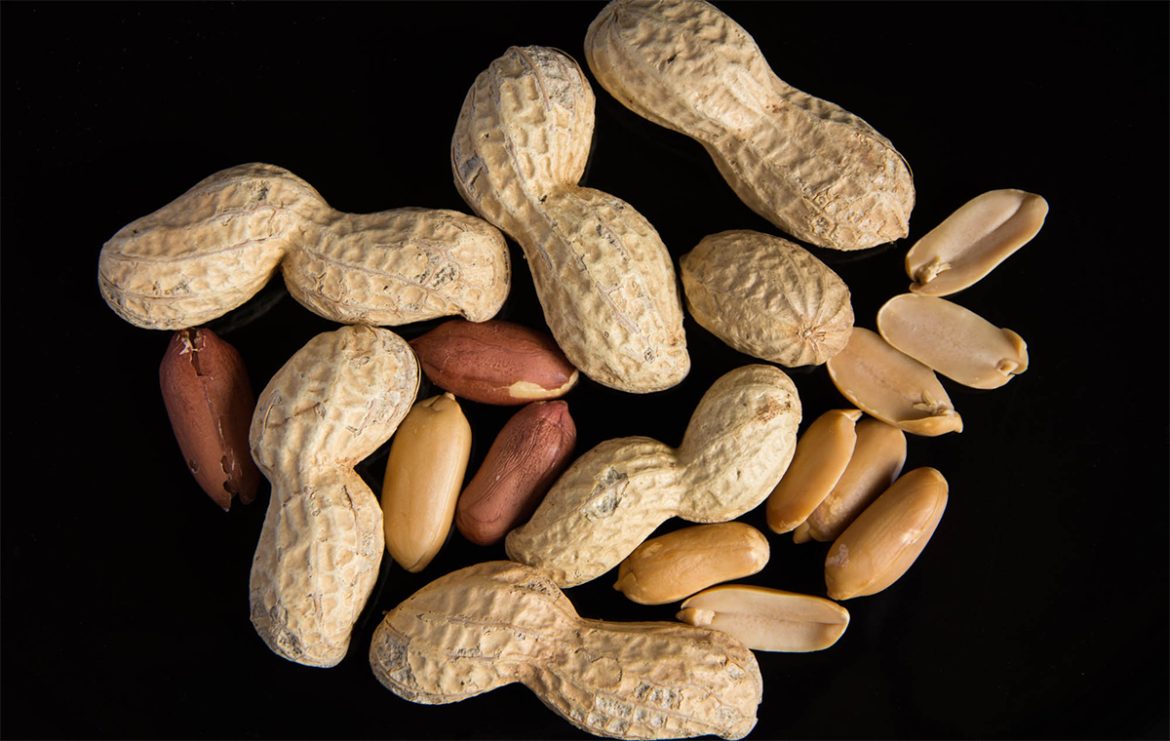 World Current Peanut Price per Ton 2023