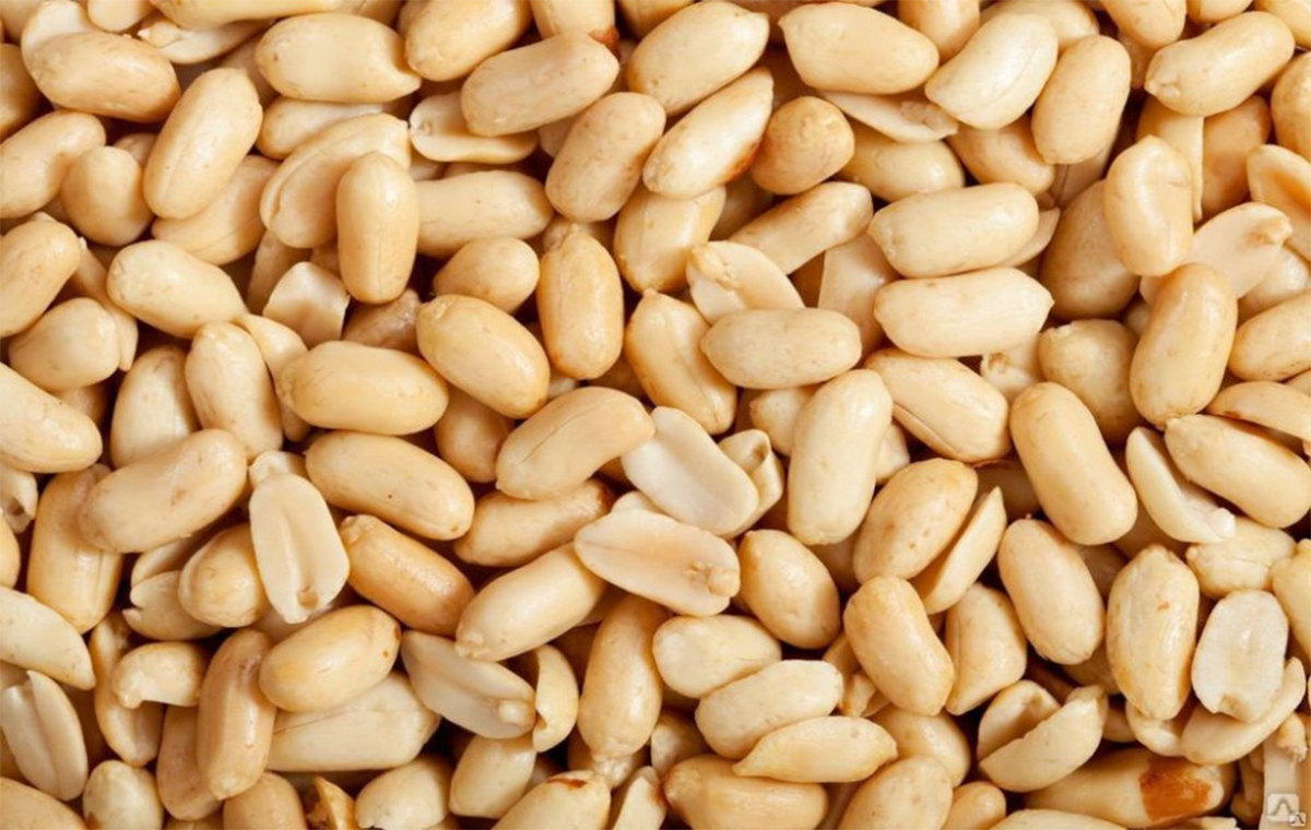  World Current Peanut Price per Ton 2023 