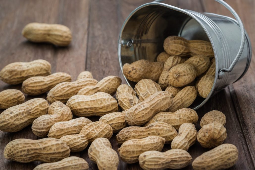  peanut production price list in November 2023 