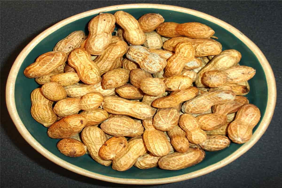  Peanut Price in Pakistan (Groundnut) Contains Vitamins Folic Acid Fiber Phosphorus 