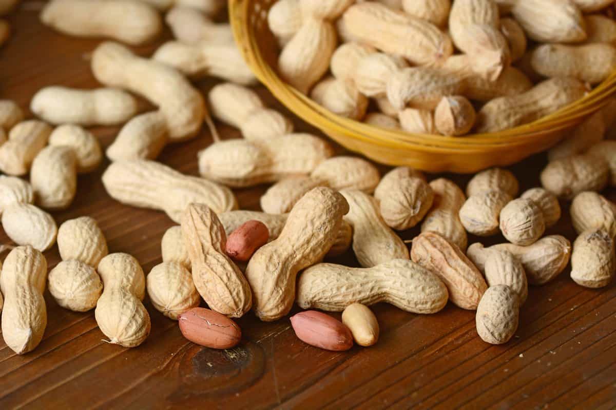  Peanut Price in Pakistan (Groundnut) Contains Vitamins Folic Acid Fiber Phosphorus 