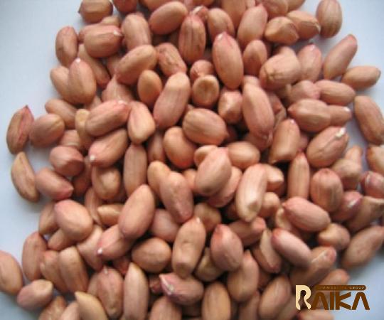 Buy the latest types of carwile virginia peanut