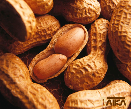 Buy the latest types of brisbane big peanut