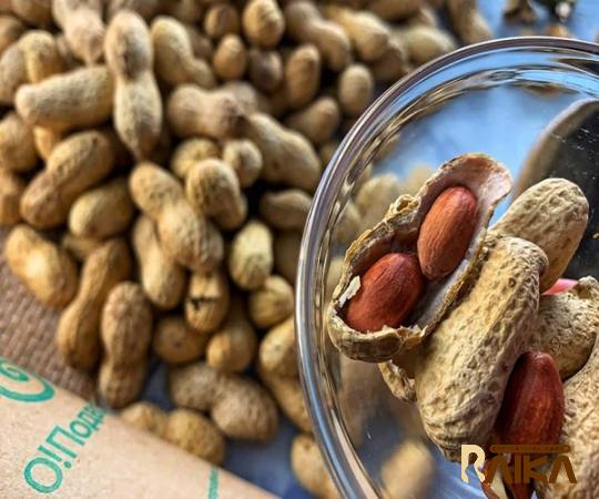 Buy raw peanut | Selling all types of raw peanut at a reasonable price