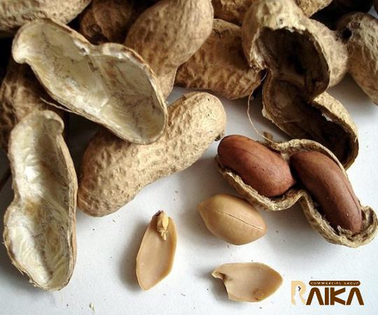 Buy yellow peanut | Selling all types of yellow peanut at a reasonable price
