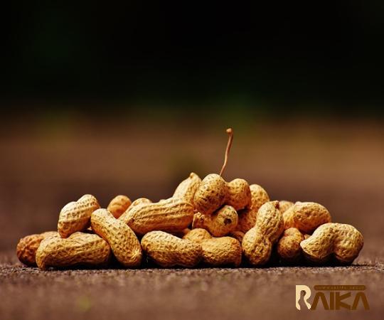 The best price to buy raw peanuts australia anywhere