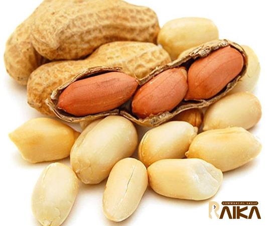 Buy valencia raw peanuts in shell at an exceptional price