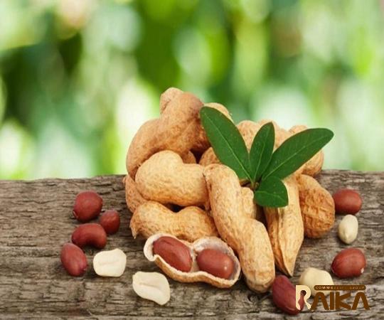 Purchase and today price of raw peanut in english