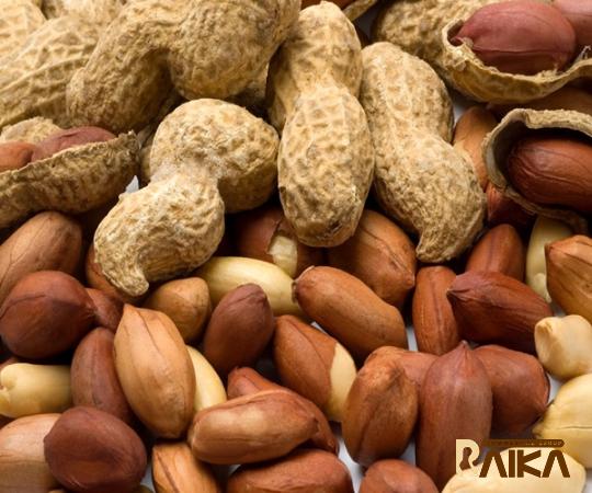 Purchase and today price of raw peanut edible